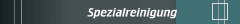 Spezialreinigung